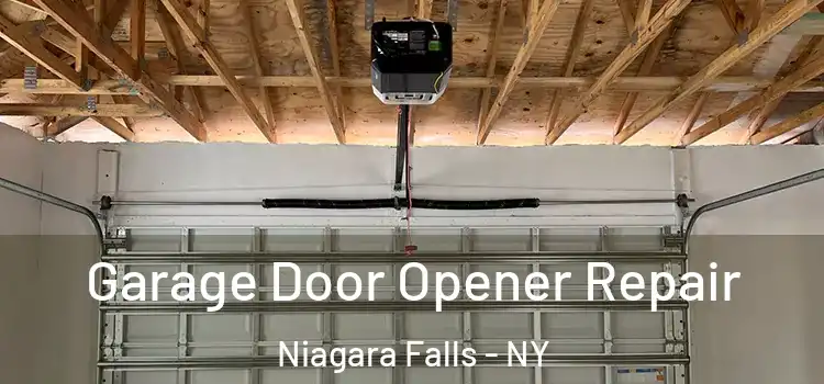  Garage Door Opener Repair Niagara Falls - NY