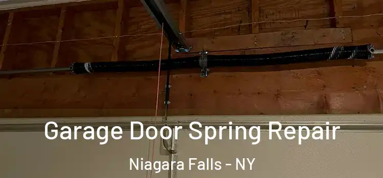  Garage Door Spring Repair Niagara Falls - NY