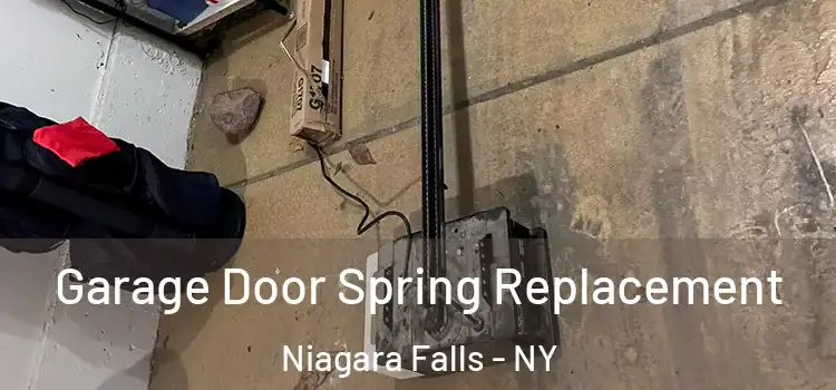  Garage Door Spring Replacement Niagara Falls - NY