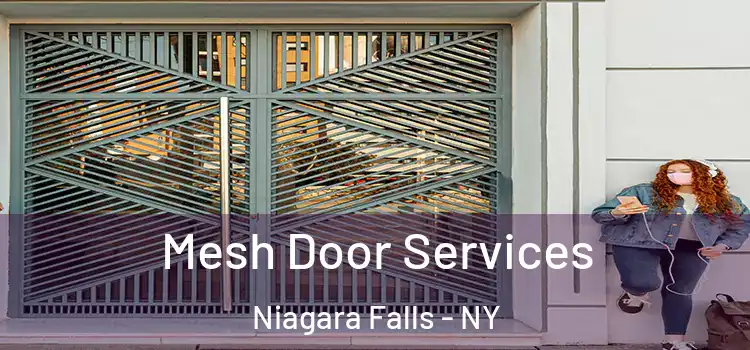 Mesh Door Services Niagara Falls - NY